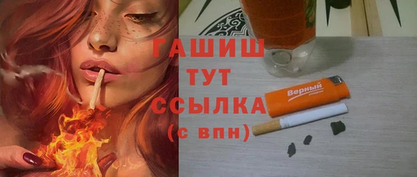 прущие грибы Богородицк