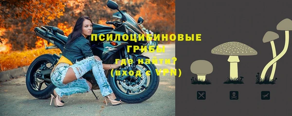 каннабис Арсеньев