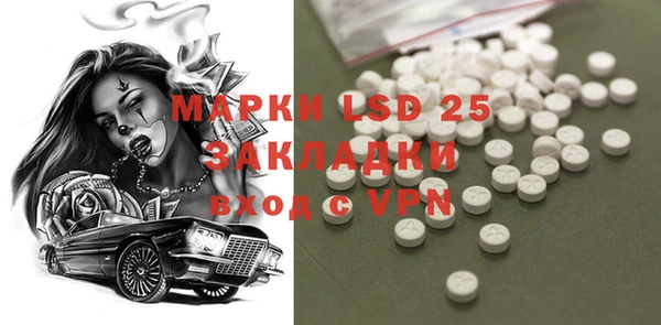 PSILOCYBIN Снежинск
