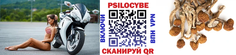цены наркотик  Дыгулыбгей  Галлюциногенные грибы Magic Shrooms 